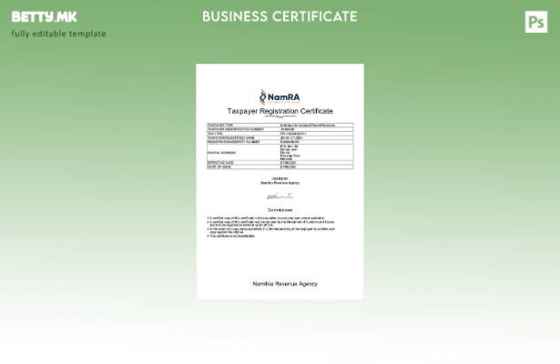 Модерен стил на Намибија сертификат за регистрација на даночен обврзник Шаблон з